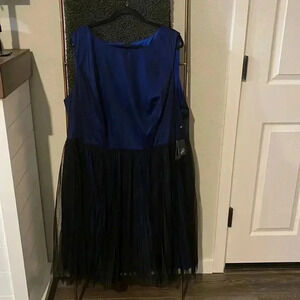 NWT Adrianna Papell Fit & Flare Tulle Overlay Dress